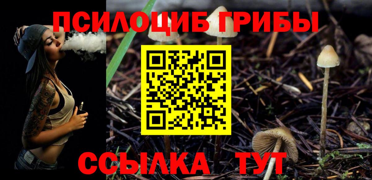 купить закладку  Галлюциногенные грибы Magic Shrooms  Вход с VPN  Псилоцибиновые грибы Psilocybine cubensis  Орёл 